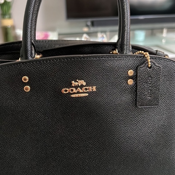 Coach Mini Lillie Carryall - Picture 4 of 9